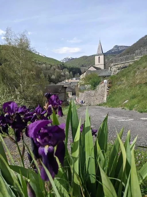 Grand Gite Au Coeur Des Pyrenees - Ariege Mijanes 0*,
